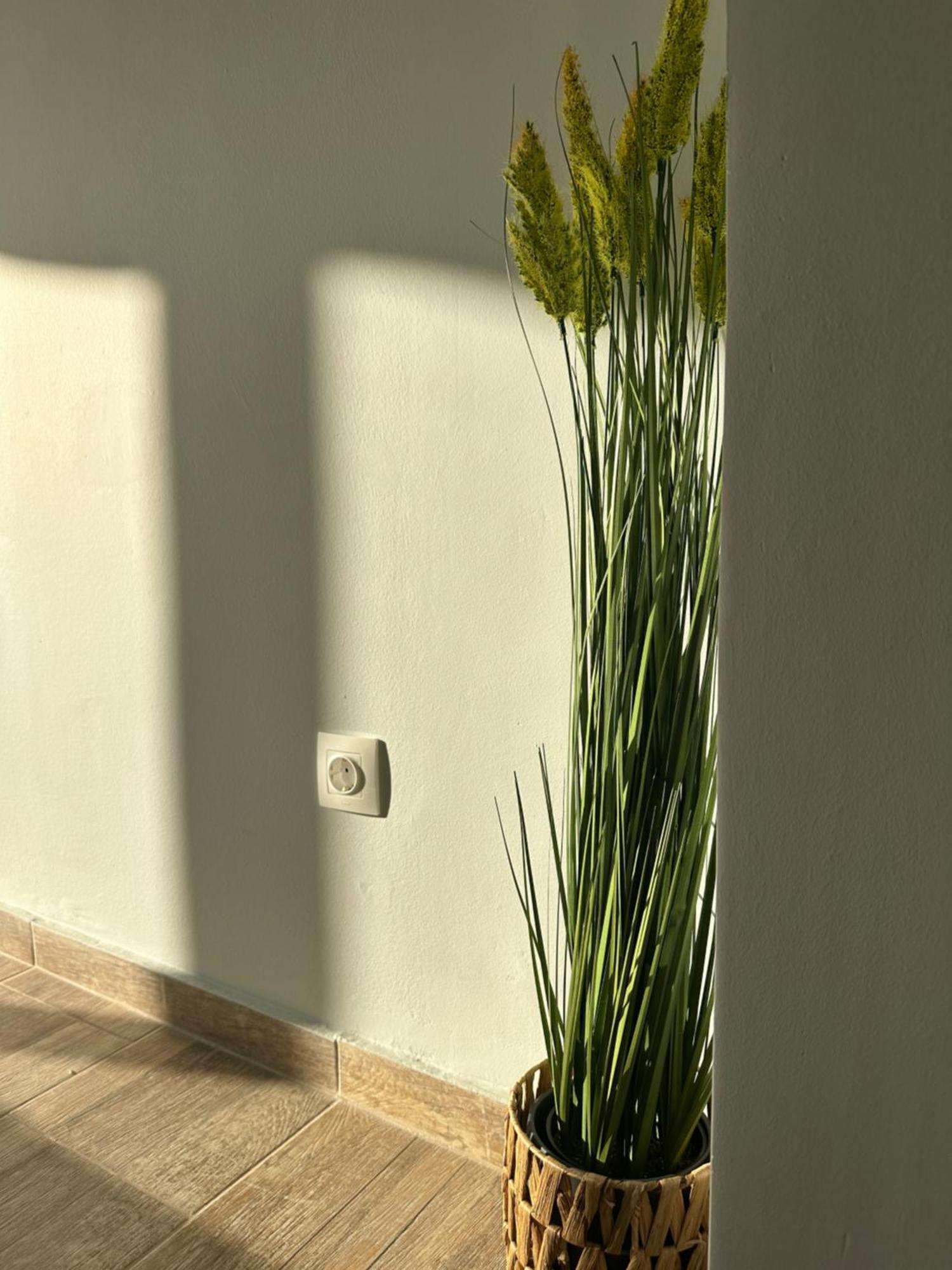 Glyfada Sunset Seaview Cozy Apartment A Αθήνα Εξωτερικό φωτογραφία